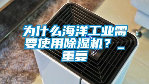 為什么海洋工業需要使用除濕機？_重復