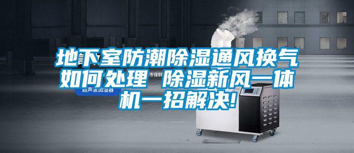 地下室防潮除濕通風換氣如何處理 除濕新風一體機一招解決!