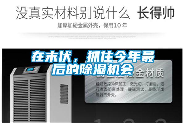 在末伏，抓住今年最后的除濕機會
