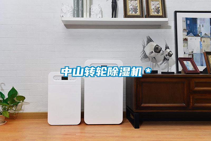 中山轉輪除濕機＊