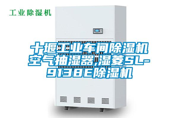 十堰工業車間除濕機空氣抽濕器,濕菱SL-9138E除濕機