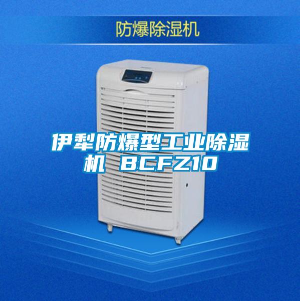 伊犁防爆型工業除濕機 BCFZ10