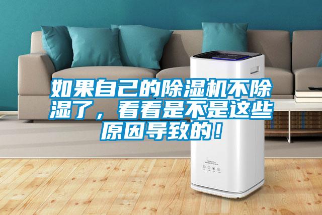 如果自己的除濕機不除濕了，看看是不是這些原因導致的！