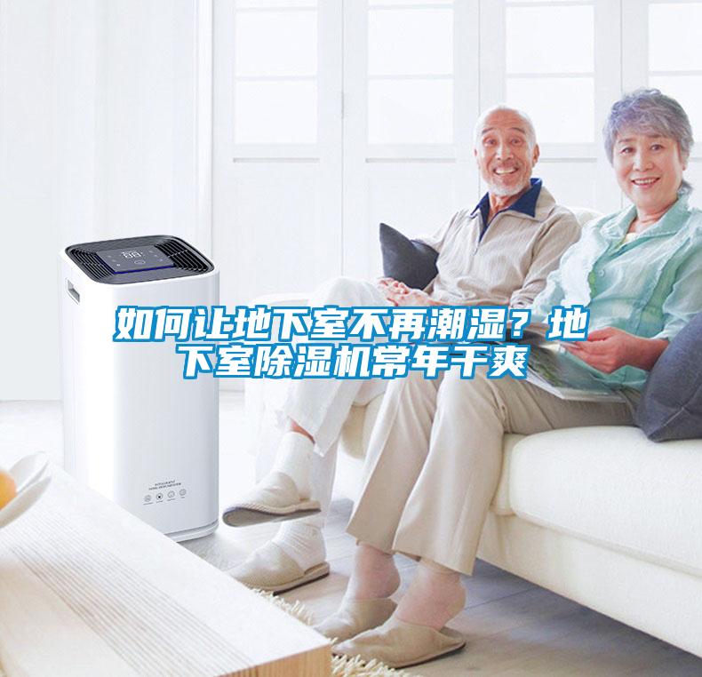 如何讓地下室不再潮濕？地下室除濕機常年干爽