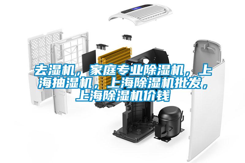 去濕機，家庭專業除濕機，上海抽濕機，上海除濕機批發，上海除濕機價錢