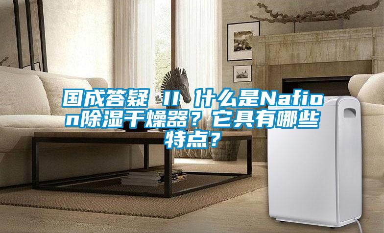 國成答疑 II 什么是Nafion除濕干燥器？它具有哪些特點？