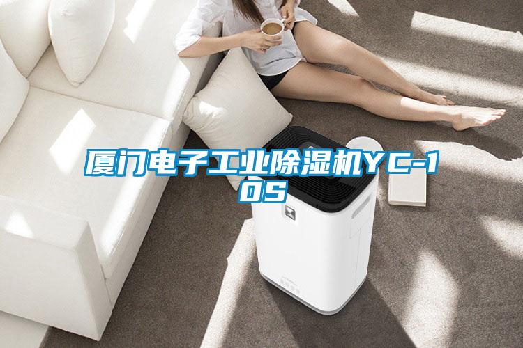 廈門電子工業除濕機YC-10S