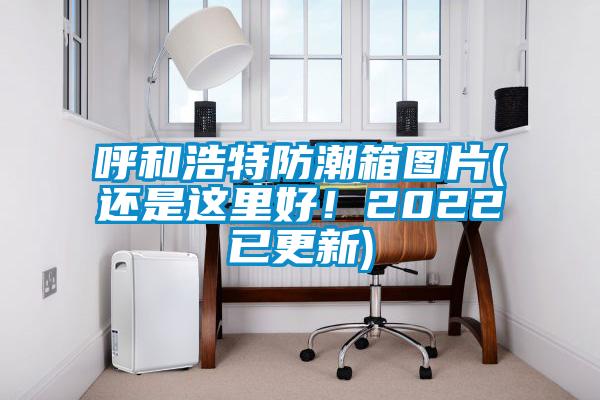呼和浩特防潮箱圖片(還是這里好！2022已更新)