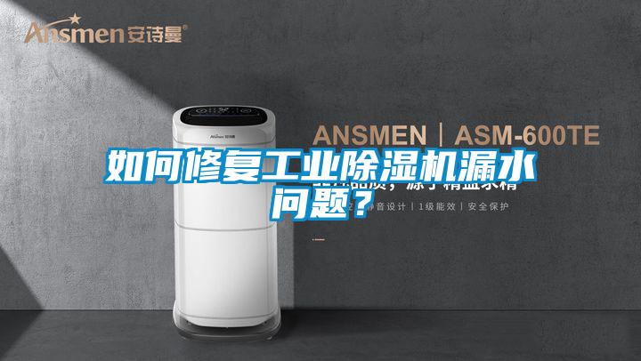 如何修復工業除濕機漏水問題？