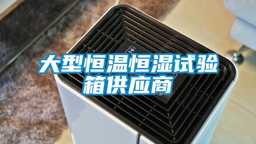 大型恒溫恒濕試驗箱供應商