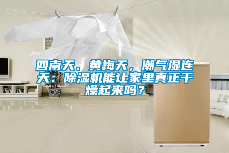 回南天、黃梅天，潮氣濕連天：除濕機能讓家里真正干燥起來嗎？