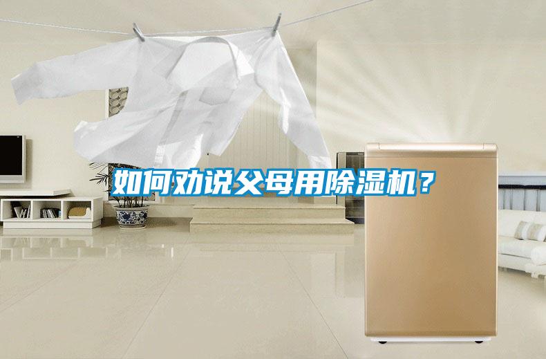 如何勸說父母用除濕機？
