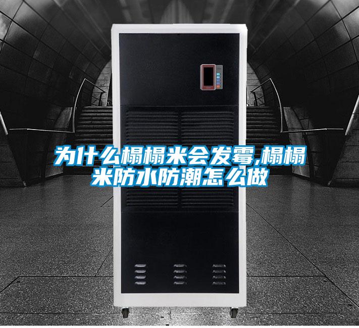 為什么榻榻米會發霉,榻榻米防水防潮怎么做