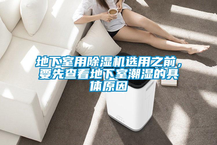 地下室用除濕機選用之前，要先查看地下室潮濕的具體原因