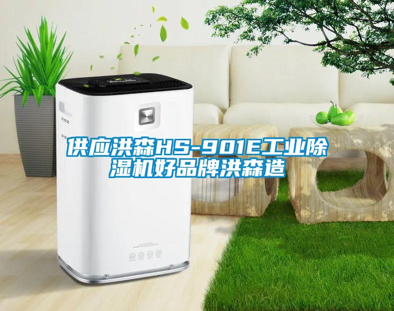 供應洪森HS-901E工業除濕機好品牌洪森造