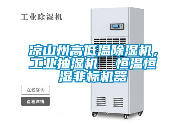 涼山州高低溫除濕機，工業抽濕機  恒溫恒濕非標機器