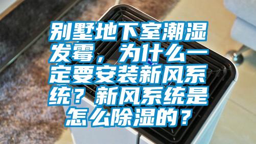 別墅地下室潮濕發霉，為什么一定要安裝新風系統？新風系統是怎么除濕的？