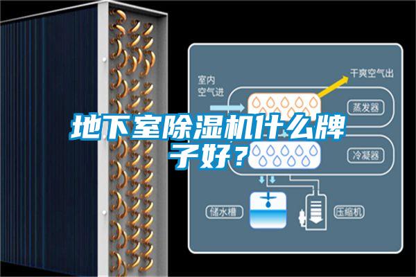 地下室除濕機什么牌子好？