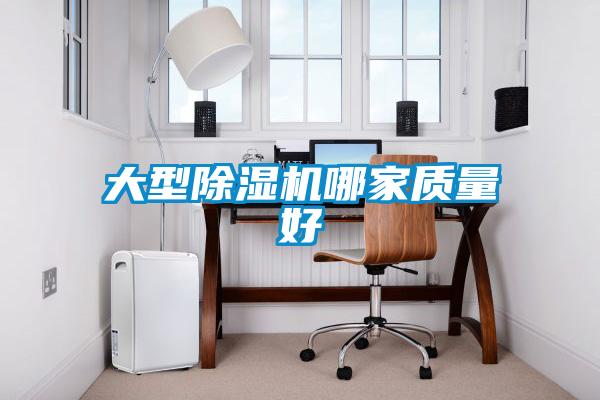 大型除濕機哪家質量好