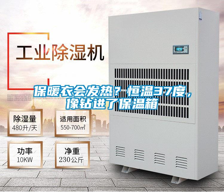 保暖衣會發熱？恒溫37度，像鉆進了保溫箱