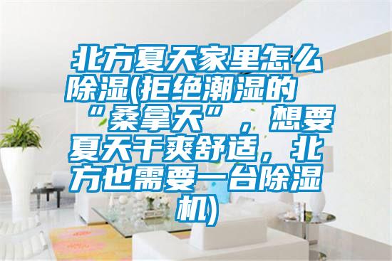 北方夏天家里怎么除濕(拒絕潮濕的“桑拿天”，想要夏天干爽舒適，北方也需要一臺除濕機)