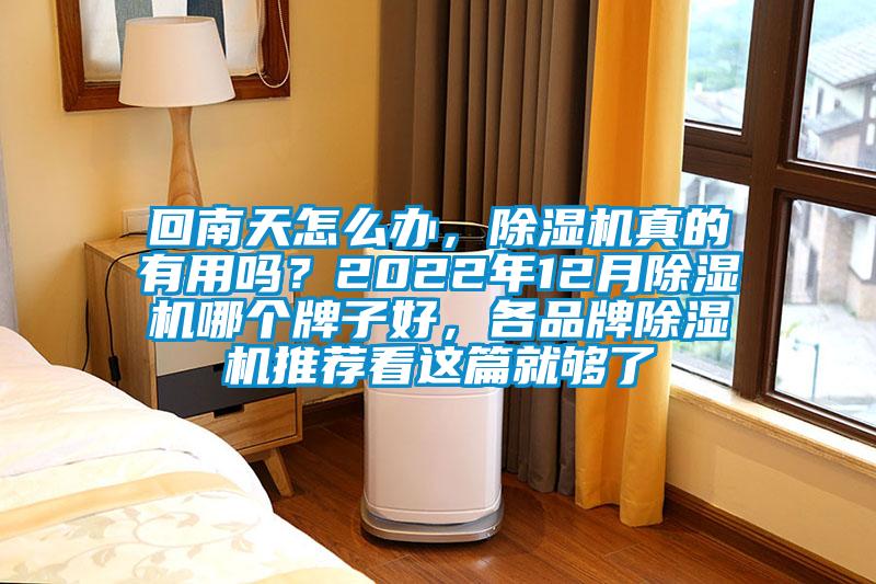 回南天怎么辦，除濕機真的有用嗎？2022年12月除濕機哪個牌子好，各品牌除濕機推薦看這篇就夠了
