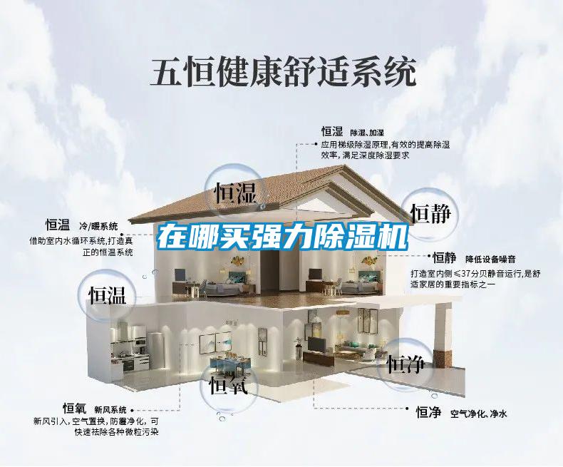在哪買強力除濕機