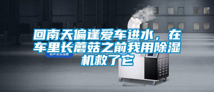 回南天偏逢愛車進水，在車里長蘑菇之前我用除濕機救了它