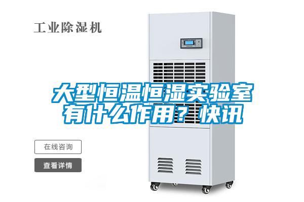 大型恒溫恒濕實驗室有什么作用？快訊