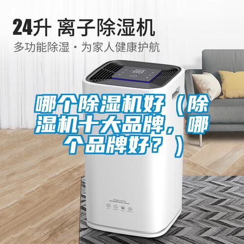 哪個除濕機好（除濕機十大品牌，哪個品牌好？）