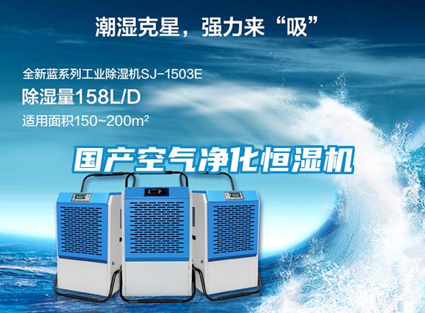 國產空氣凈化恒濕機