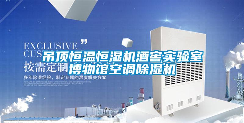 吊頂恒溫恒濕機酒窖實驗室博物館空調除濕機