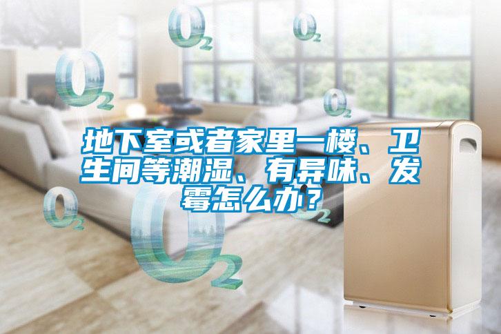 地下室或者家里一樓、衛生間等潮濕、有異味、發霉怎么辦？
