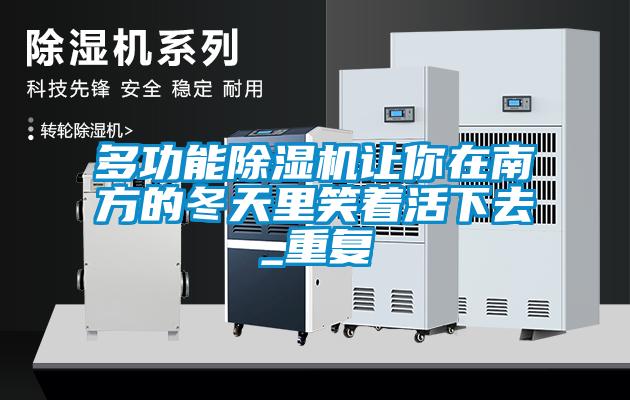 多功能除濕機讓你在南方的冬天里笑著活下去_重復