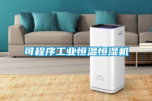可程序工業恒溫恒濕機
