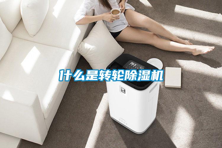 什么是轉輪除濕機