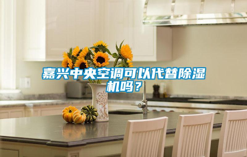 嘉興中央空調可以代替除濕機嗎？