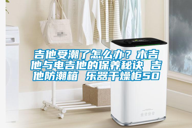 吉他受潮了怎么辦？木吉他與電吉他的保養秘訣 吉他防潮箱 樂器干燥柜50