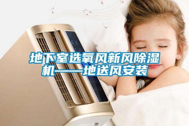 地下室選氧風新風除濕機——地送風安裝