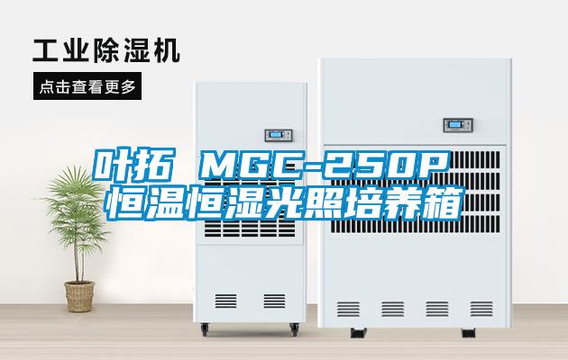 葉拓 MGC-250P 恒溫恒濕光照培養箱