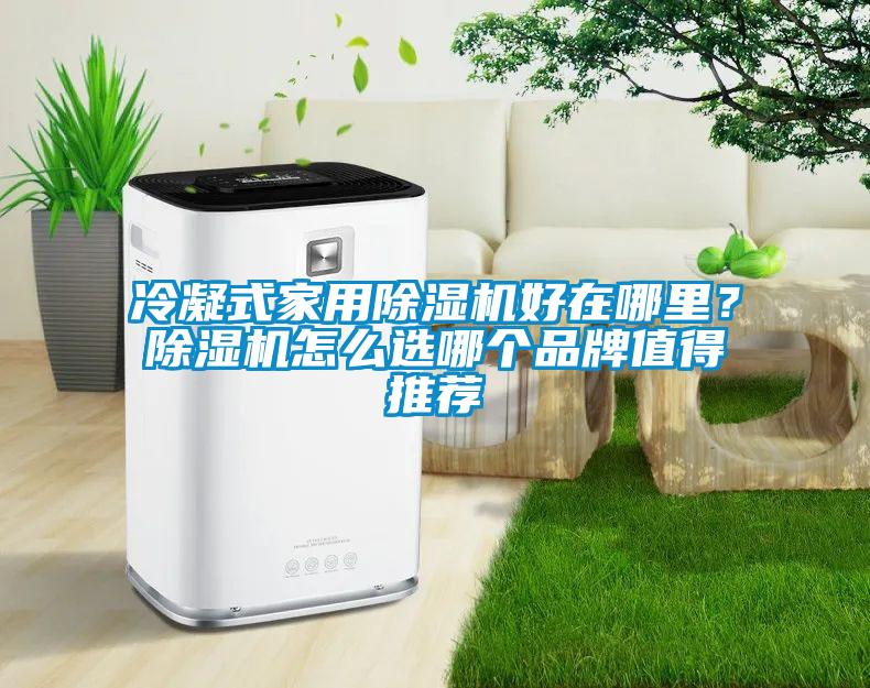 冷凝式家用除濕機好在哪里？除濕機怎么選哪個品牌值得推薦