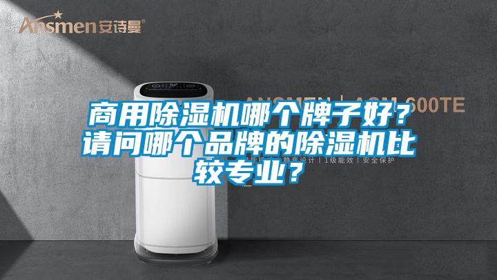 商用除濕機哪個牌子好？請問哪個品牌的除濕機比較專業？