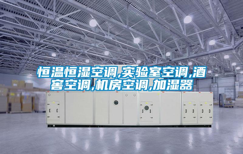 恒溫恒濕空調,實驗室空調,酒窖空調,機房空調,加濕器