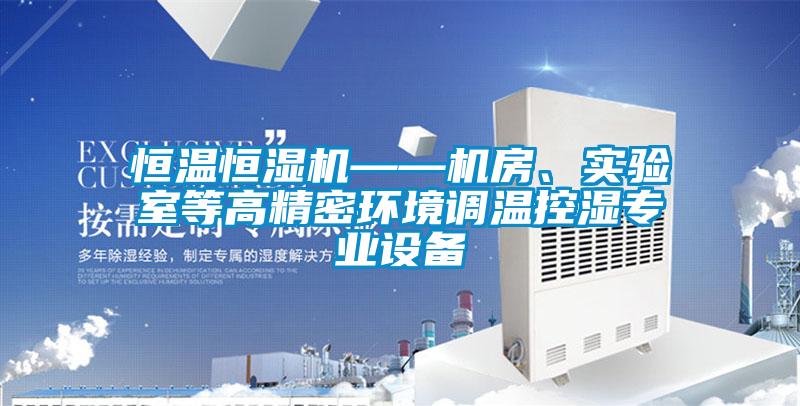 恒溫恒濕機——機房、實驗室等高精密環境調溫控濕專業設備