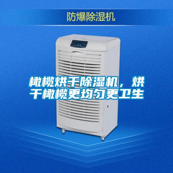 橄欖烘干除濕機，烘干橄欖更均勻更衛生