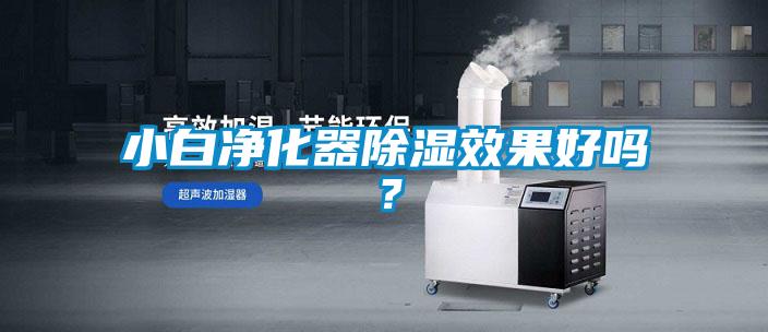 小白凈化器除濕效果好嗎？