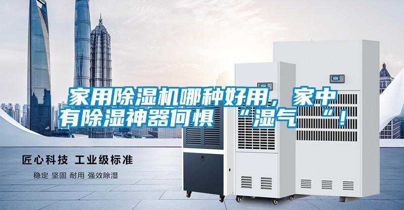 家用除濕機哪種好用，家中有除濕神器何懼 “濕氣 “！