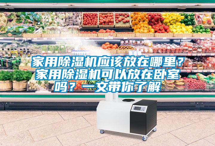 家用除濕機應該放在哪里？家用除濕機可以放在臥室嗎？一文帶你了解