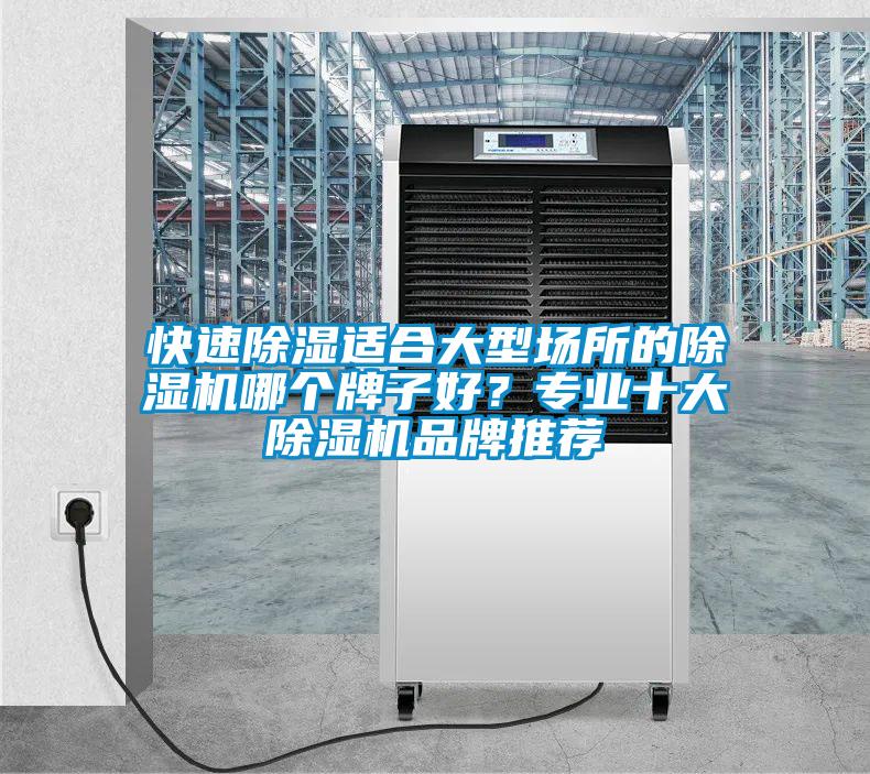 快速除濕適合大型場所的除濕機哪個牌子好？專業十大除濕機品牌推薦