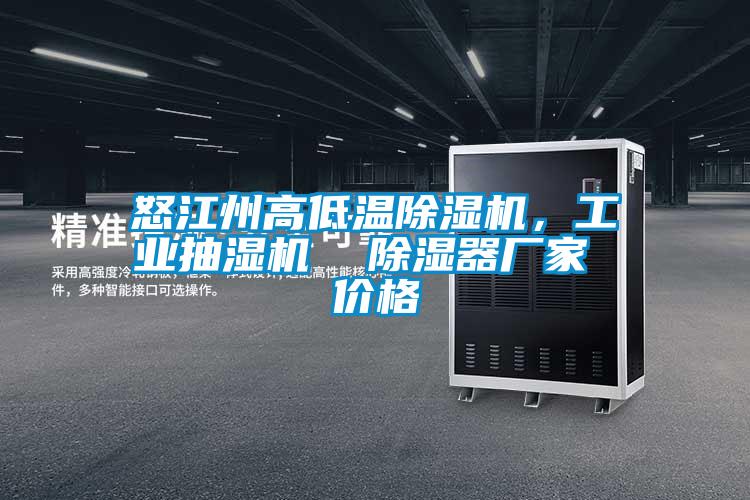 怒江州高低溫除濕機，工業抽濕機  除濕器廠家 價格
